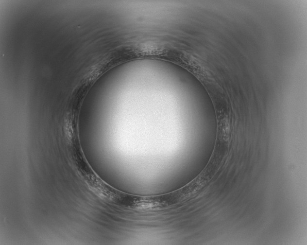 X0000073480746200608140816