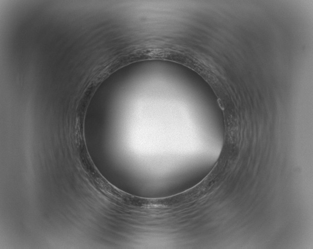 X0000073480748200608140816