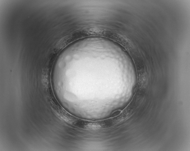 X0000073480749200608140816