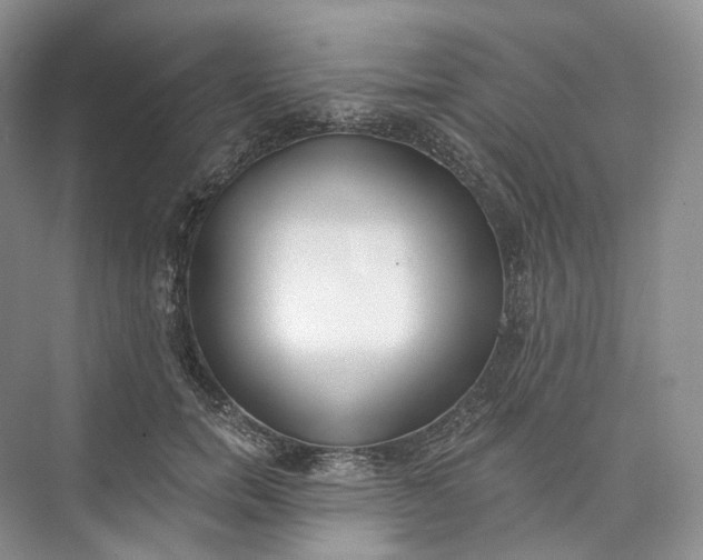 X0000073480750200608140816