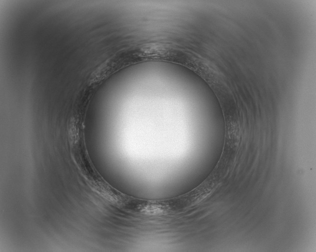 X0000073480751200608140816