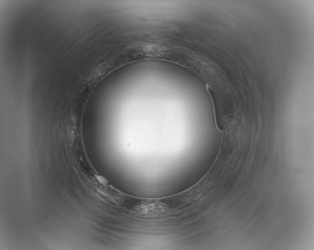 X0000073480752200608140816