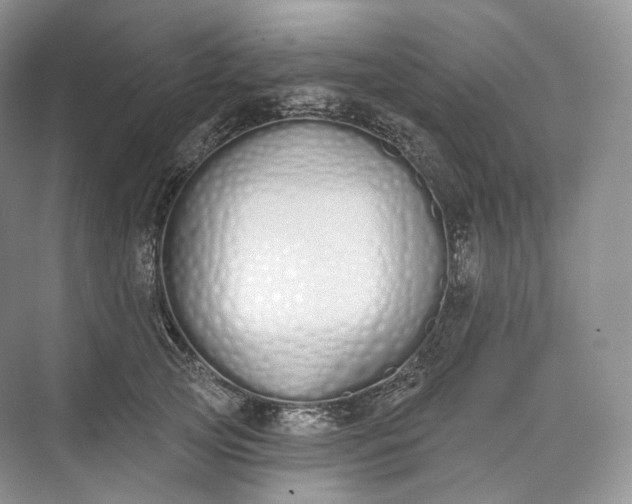 X0000073480753200608140816