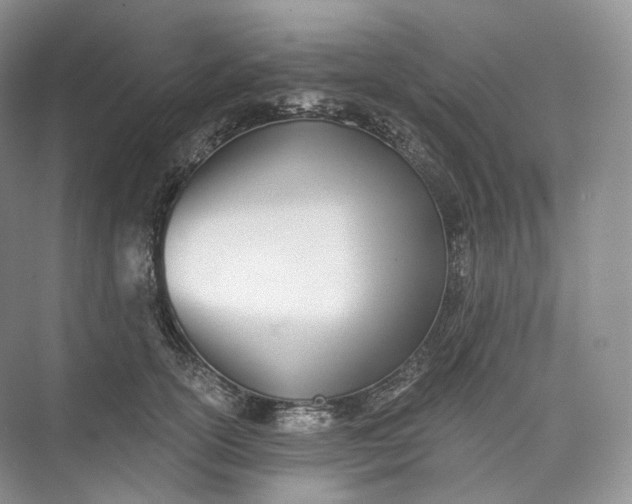 X0000073480754200608140816