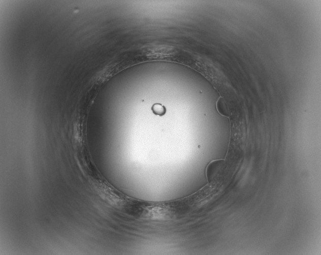 X0000073480755200608140816