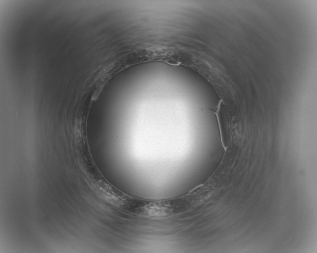 X0000073480756200608140816