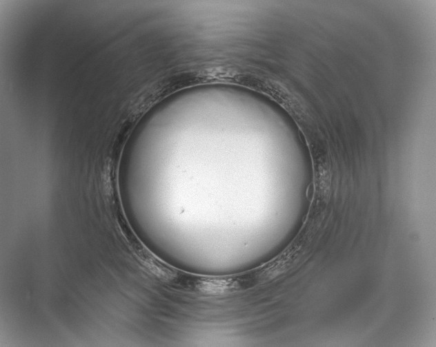 X0000073480757200608140816