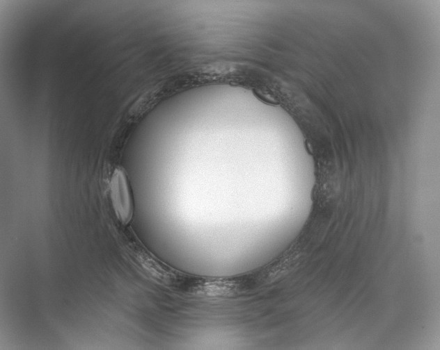 X0000073480758200608140816