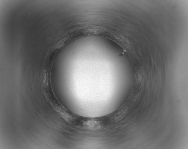 X0000073480759200608140816