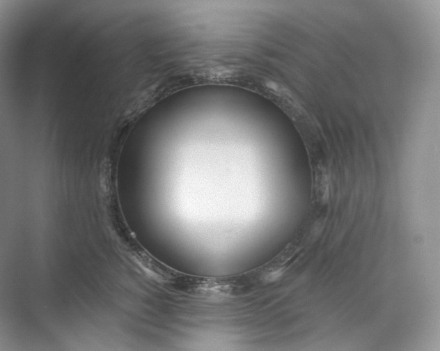 X0000073480760200608140816