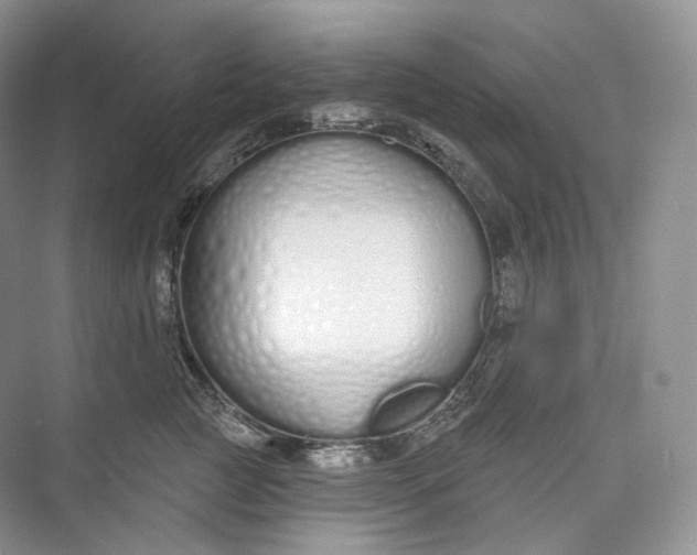 X0000073480761200608140816