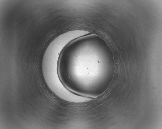 X0000073480762200608140816