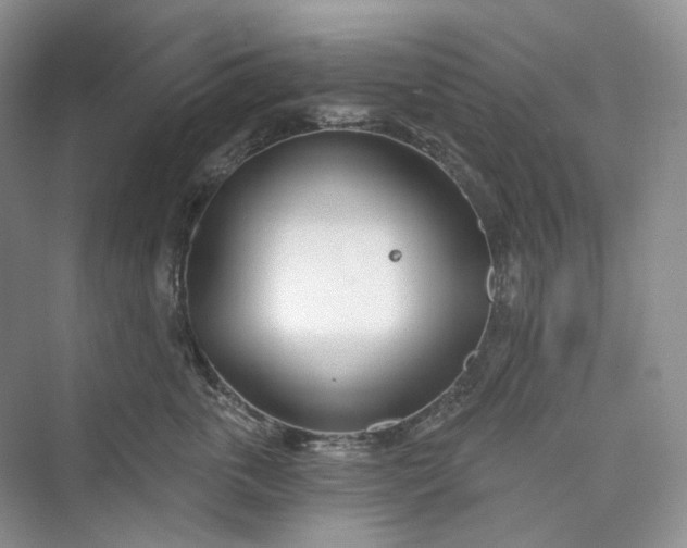 X0000073480763200608140816