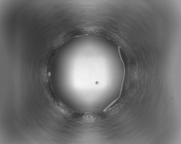 X0000073480764200608140816