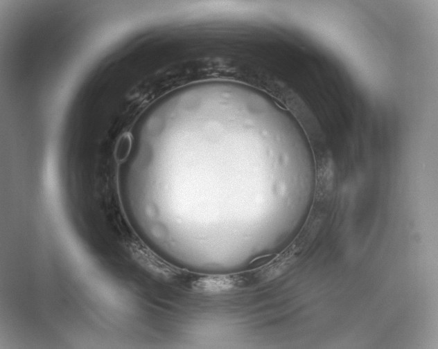 X0000073480765200608140816