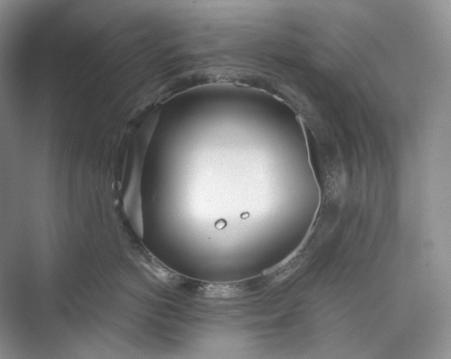 X0000073480766200608140816