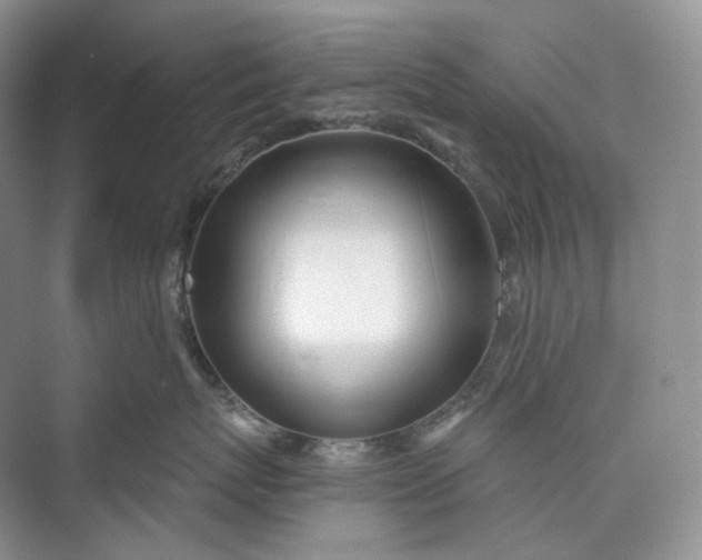 X0000073480767200608140816