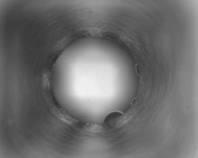 X0000073480768200608140816