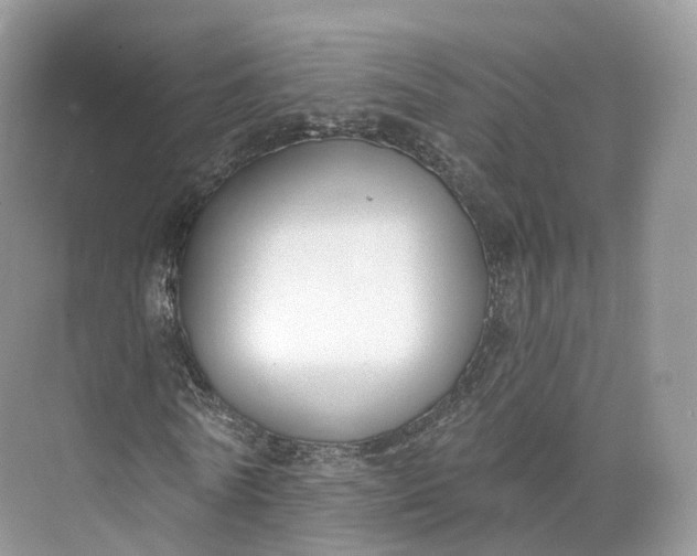 X0000073480770200608140815