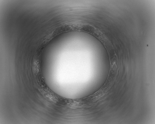 X0000073480772200608140815