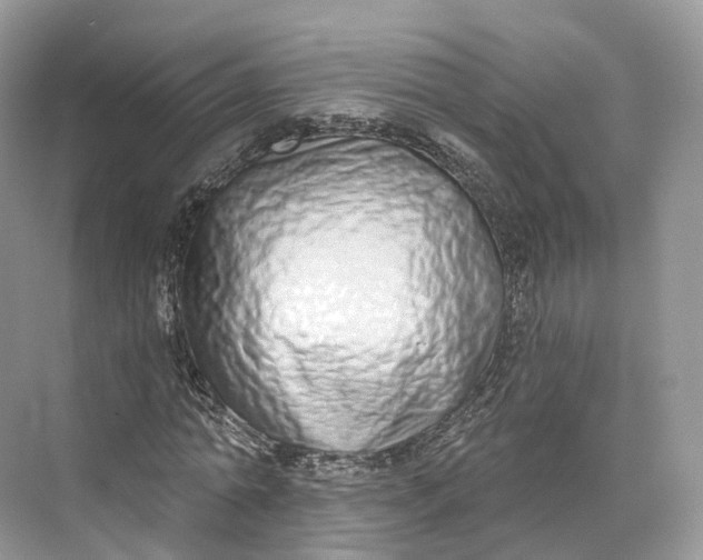 X0000073480774200608140815