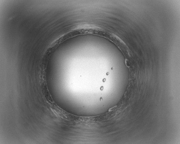 X0000073480775200608140815