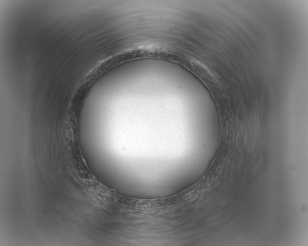 X0000073480776200608140815