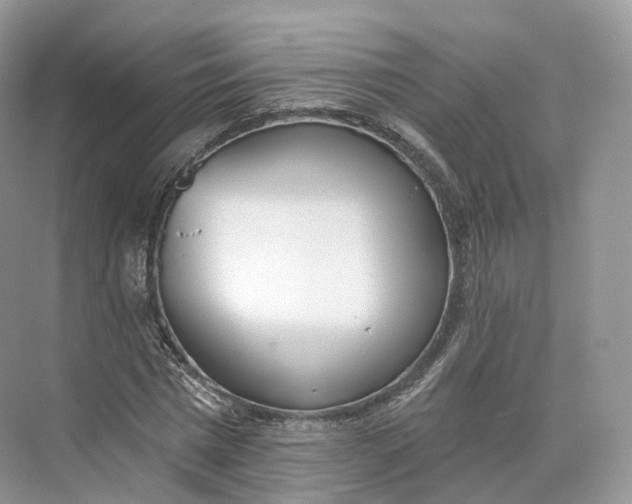 X0000073480777200608140815