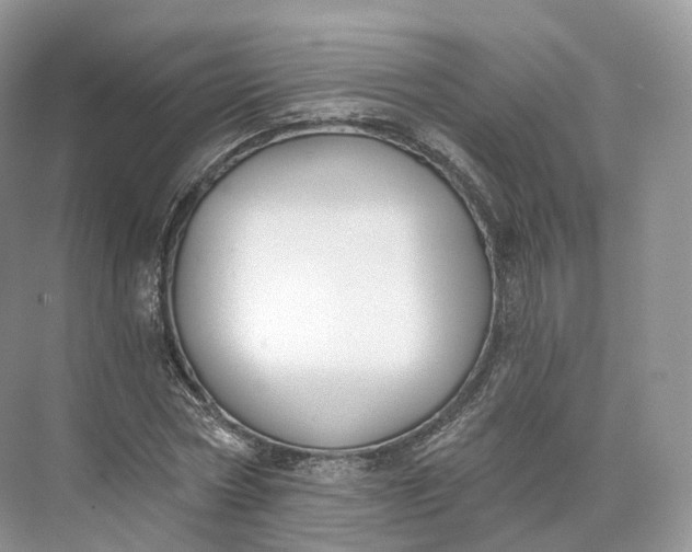 X0000073480778200608140815