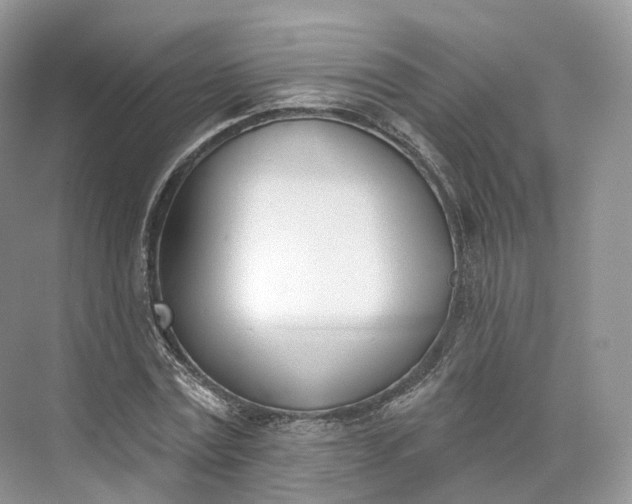 X0000073480779200608140815