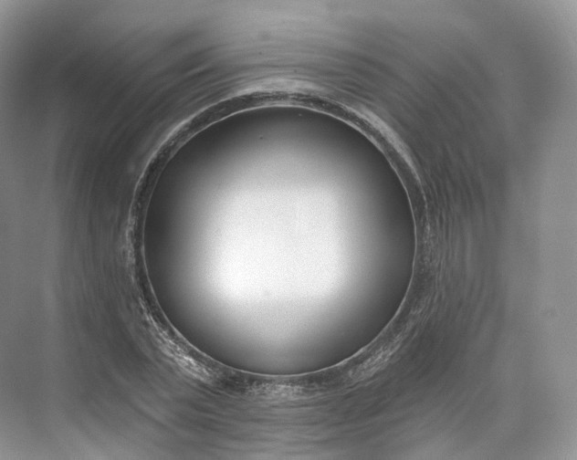 X0000073480783200608140815