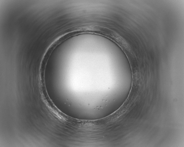 X0000073480784200608140815