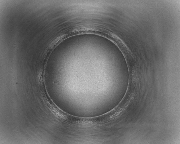 X0000073480785200608140815