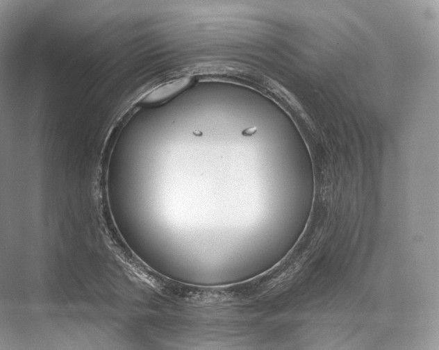 X0000073480786200608140815