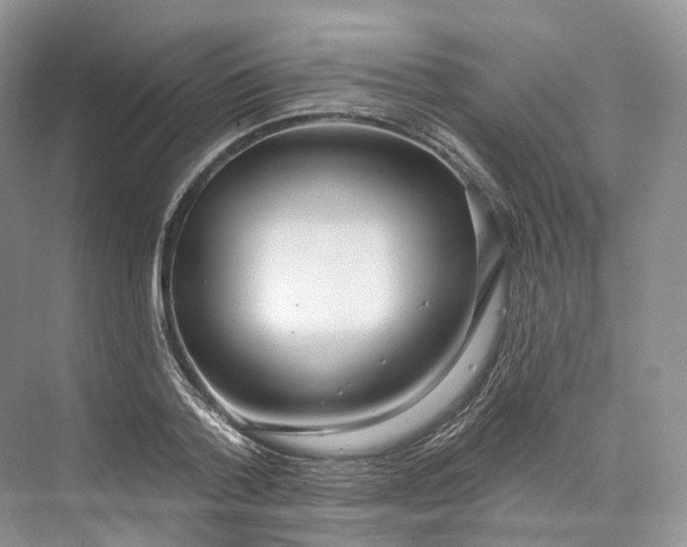 X0000073480788200608140815