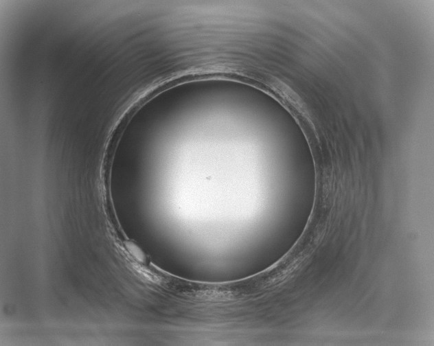 X0000073480789200608140815