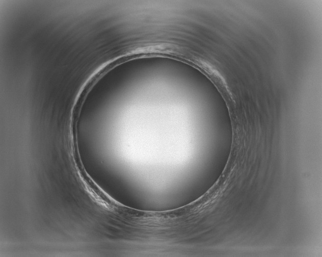 X0000073480792200608140815