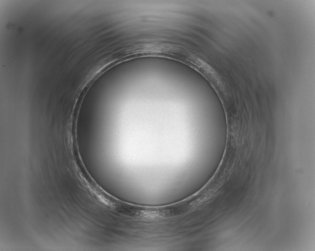 X0000073480794200608140815