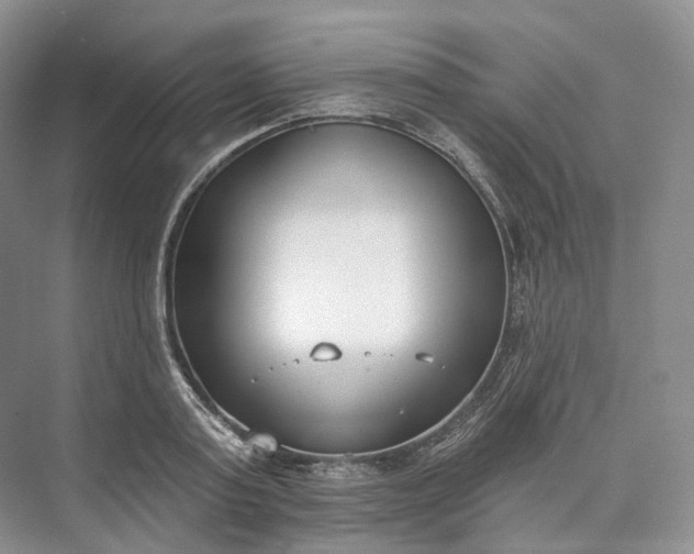 X0000073480795200608140815