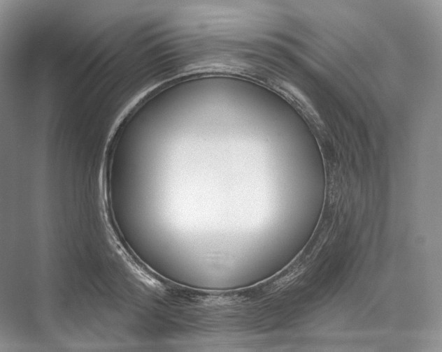 X0000073480796200608140815