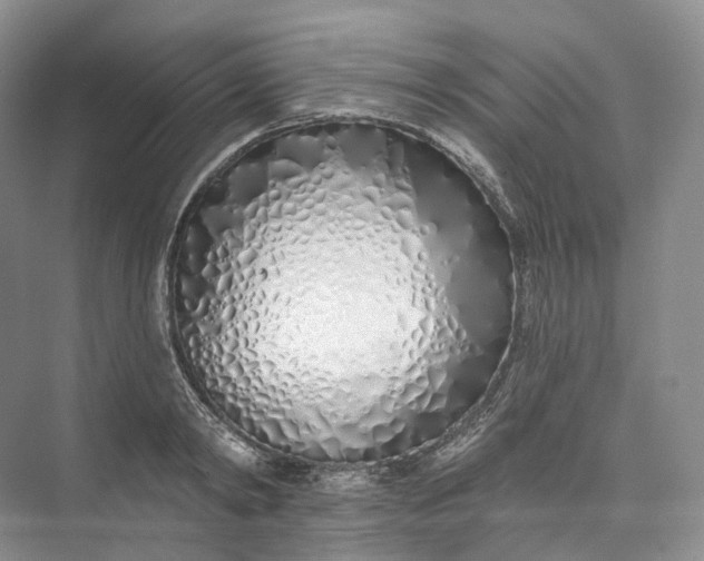 X0000073480798200608140815