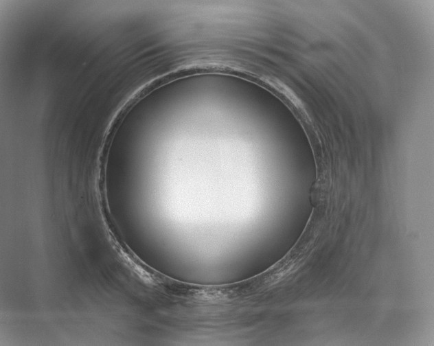 X0000073480799200608140815