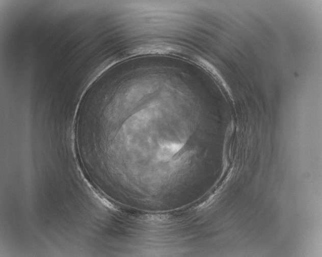 X0000073480802200608140815