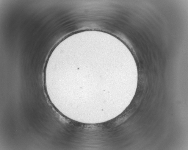 X0000073480807200608140815