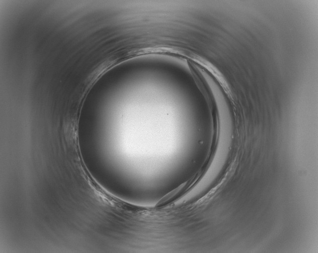 X0000073480809200608140814