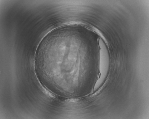 X0000073480810200608140814