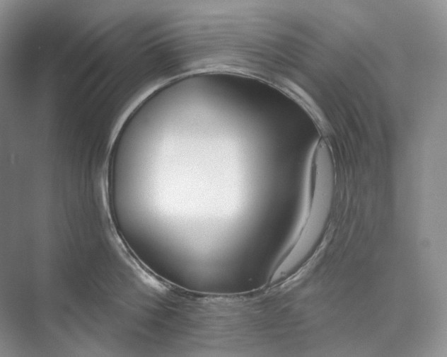 X0000073480812200608140814