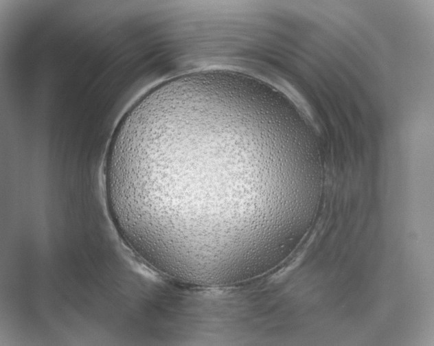 X0000073480814200608140814