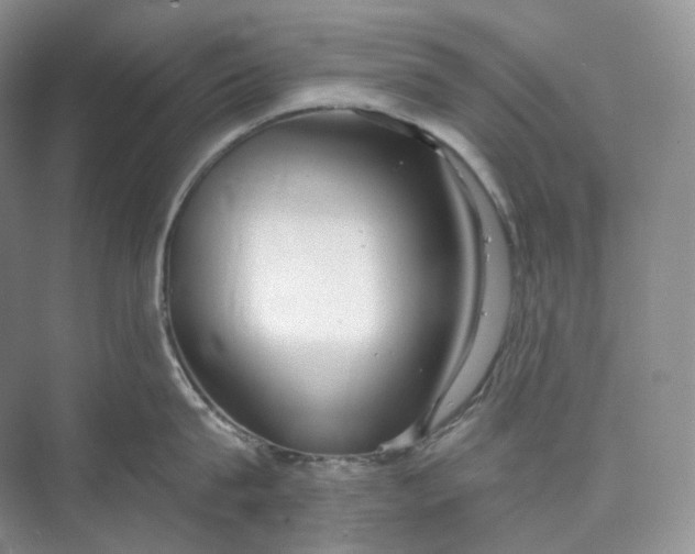 X0000073480815200608140814