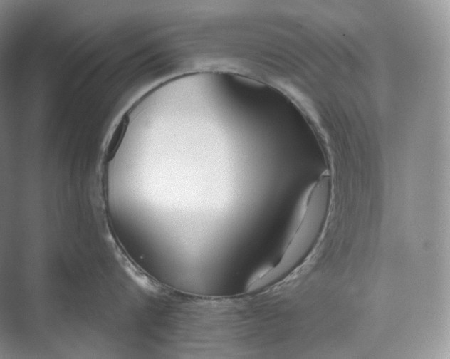 X0000073480816200608140814